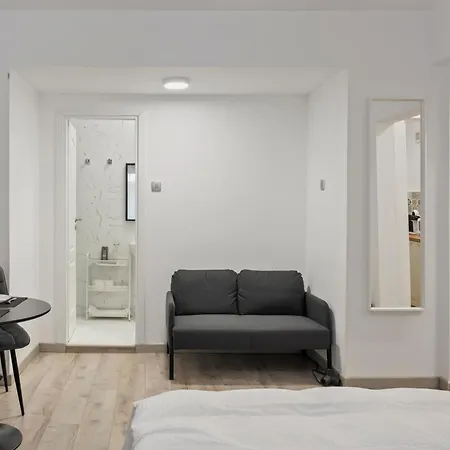 New Cismigiu Park Near Old Apartment *